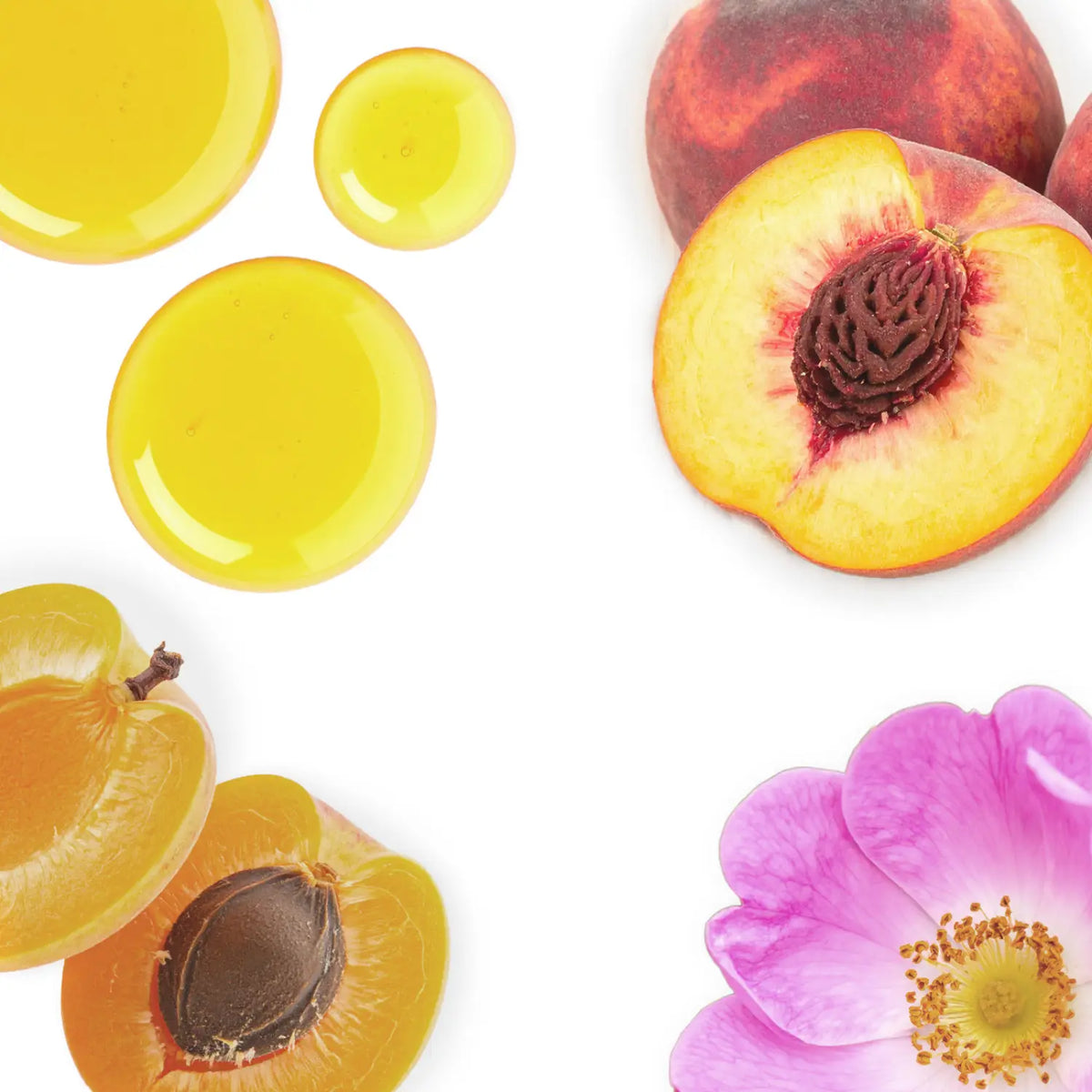 Oxilock Plasma Crystal Glow Ingredients | HAIRMONY